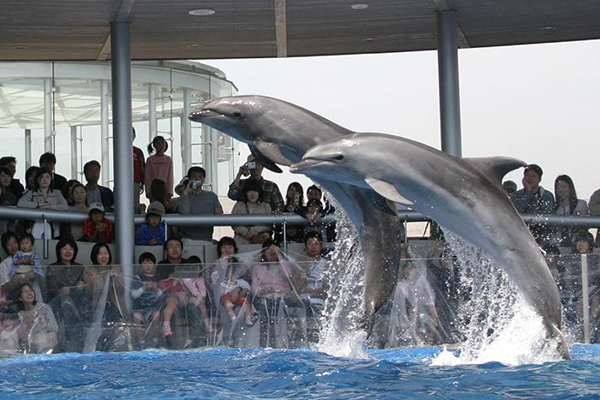 大分マリーンパレス水族館 「うみたまご」